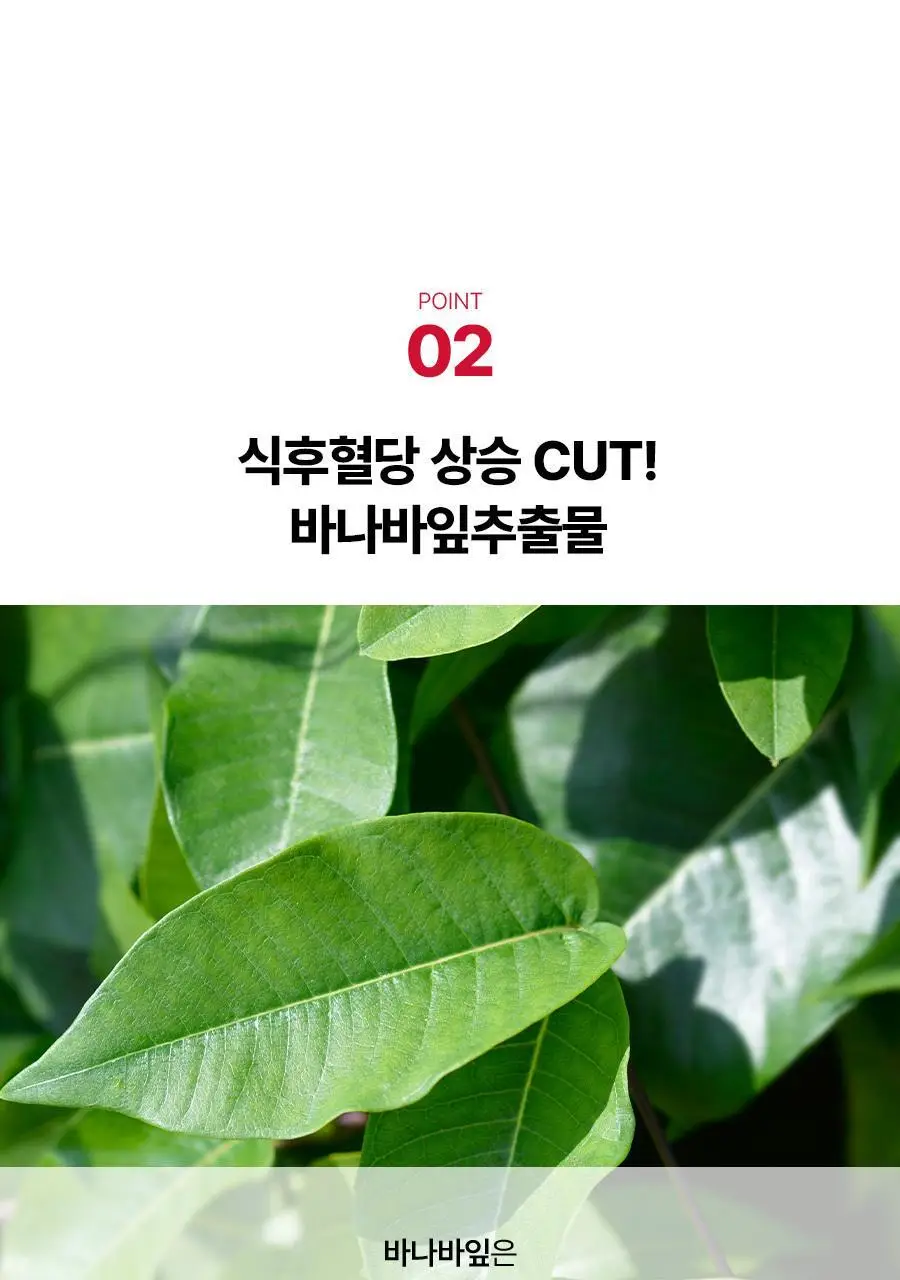 [서현PICK] 콜레올로지 티 PRO 하비탈출 8,000mg X 7포/15포 (7일분/15일분) 상세페이지 18